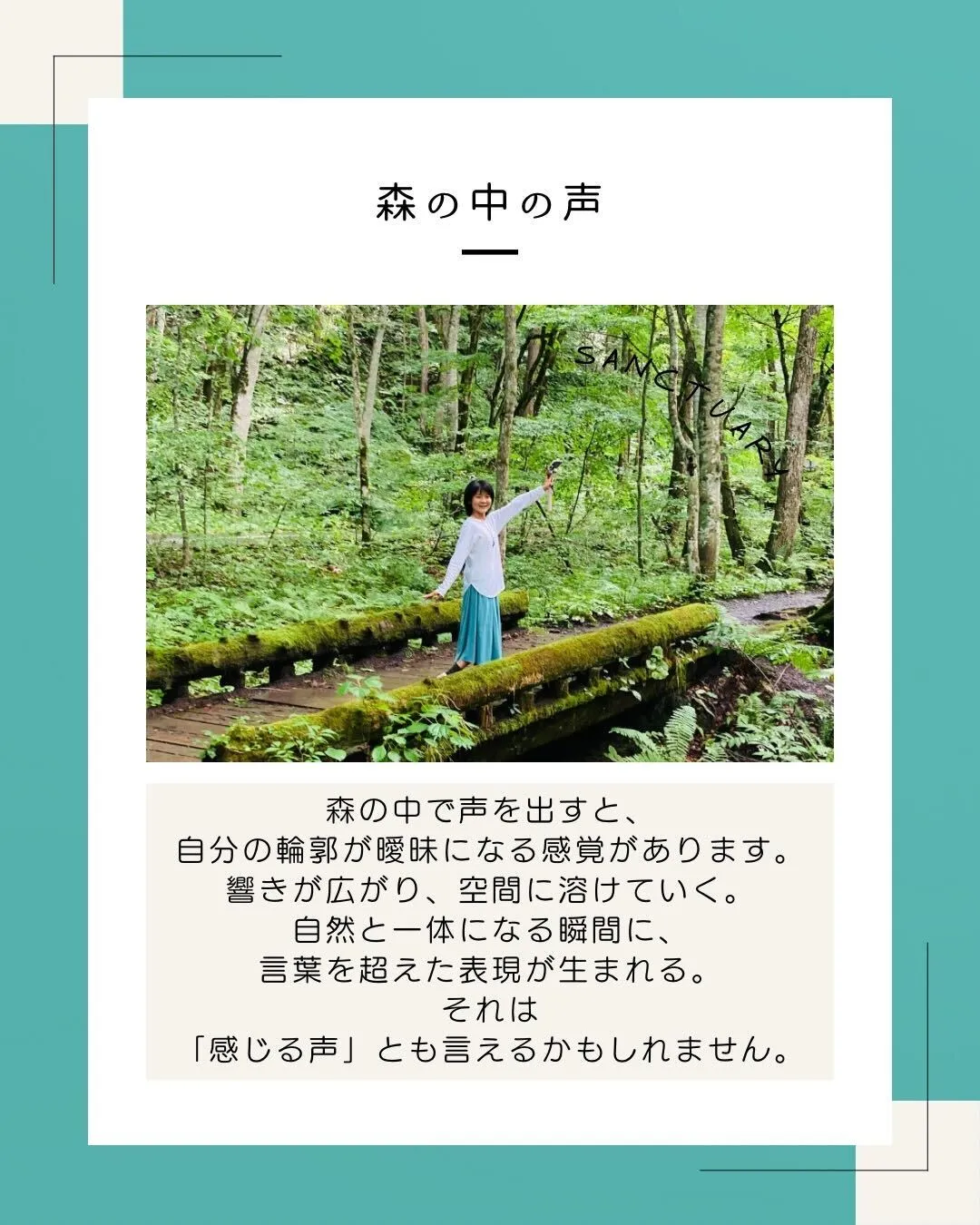 Instagram投稿 森の中の声